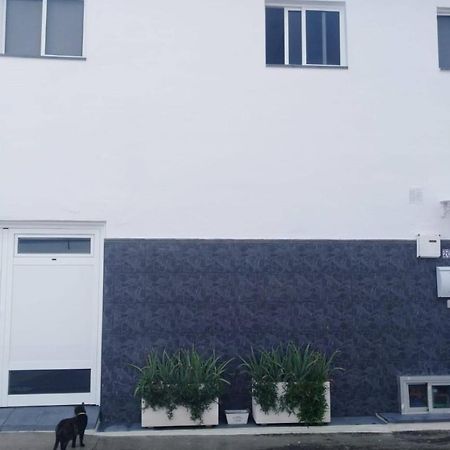 Casa Max Tenerife La Mareta Dış mekan fotoğraf