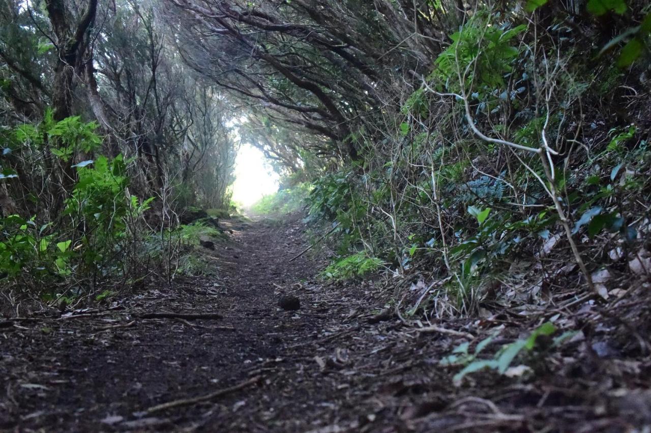 Casa Max Tenerife La Mareta Dış mekan fotoğraf